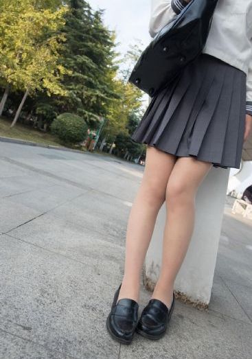 汪汪队在线观看全集免费播放_超清在线观看电视
