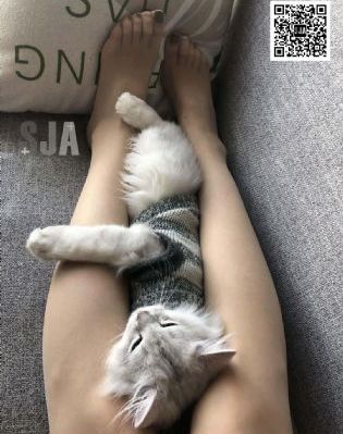 指尖传出的真挚热情的人物介绍_1080韩国电影在线观看
